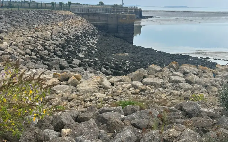 Cardiff preview image