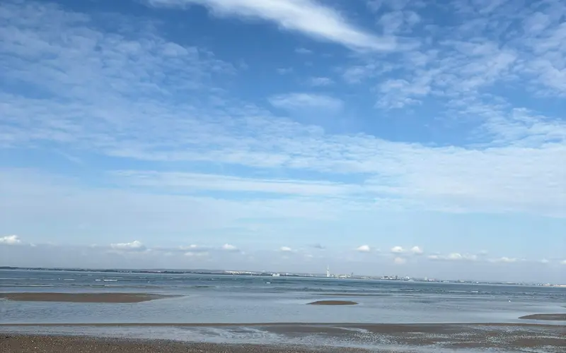 Ryde preview image